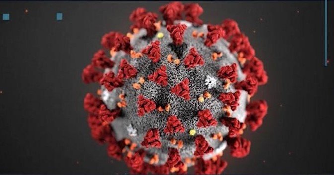 Image of coronavirus